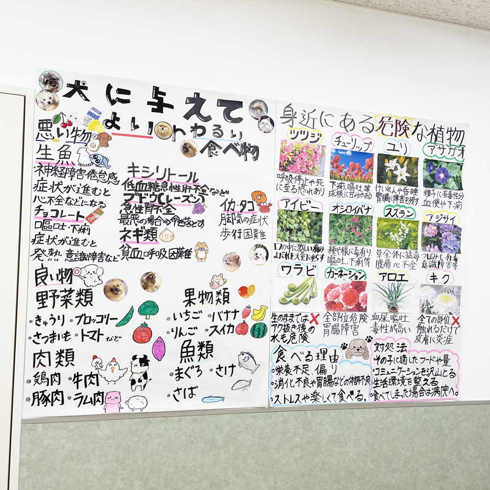 校内の掲示物